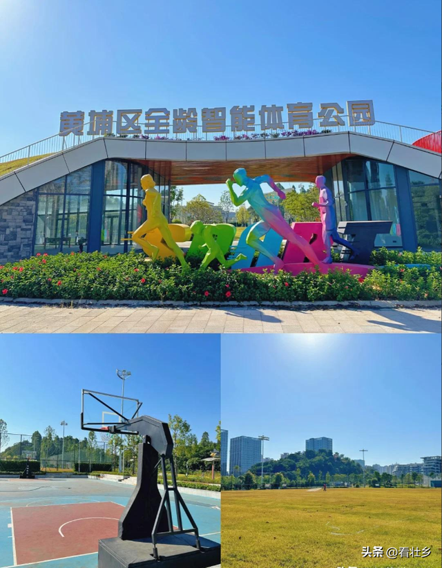 广州又一公园火了！大型滑梯+空中栈道，新晋遛娃圣地还免费