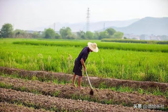 86岁老太去世遗体没人管！生前和丈夫AA，死后子女却都不愿尽孝