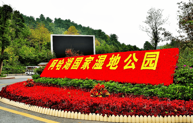 14个免费公园遛娃全攻略：看猴、玩水、露营、徒步一次集齐！速藏