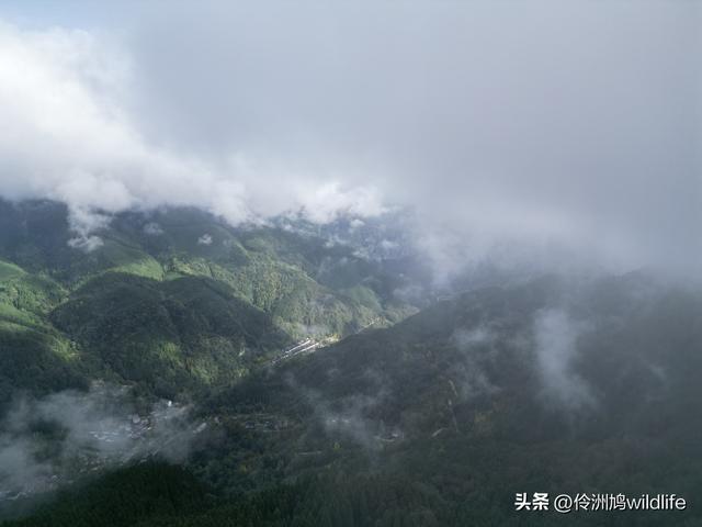 四川行(73)什邡红枫岭徒步到钟鼎寺