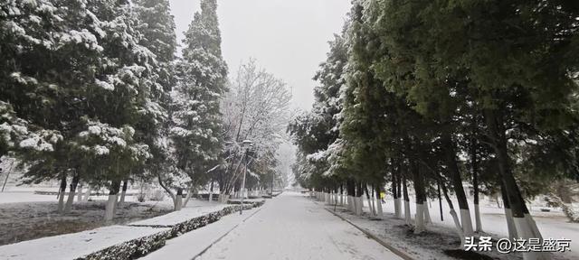 沈阳，一座最具幸福感城市，也是一座宜居之城