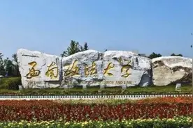 西南政法大学38岁副教授突然离世，颜值不输明星，亲友透露死因！图片