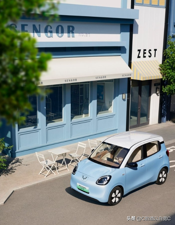 穿梭于烟火气中的小精灵：我的五菱宏光MINIEV购车记