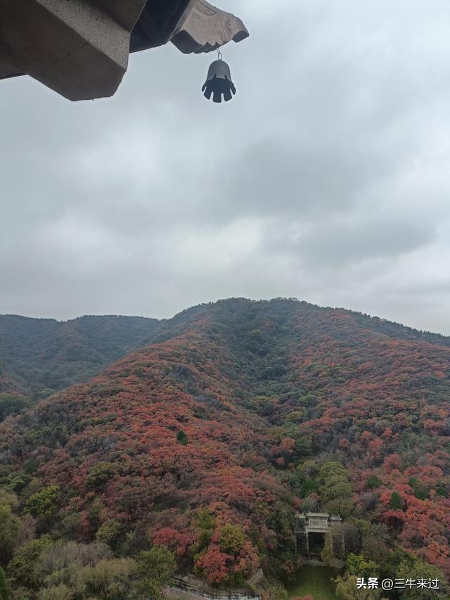 无为在歧路，济南红叶谷