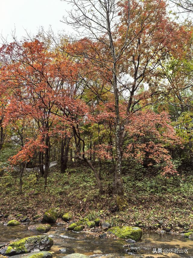 2025辽宁赏秋之旅日记(3)——游览洋湖沟和老边沟