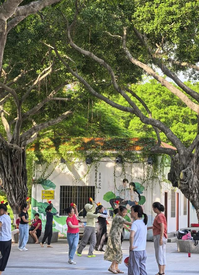 跟着唐汉霄《凌香里》打卡厦门！秋季街巷休闲游，周末逛起来→