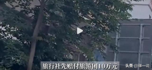 130名游客被丢服务区暴晒，旅游团六小时不发车，根本不是钱的事