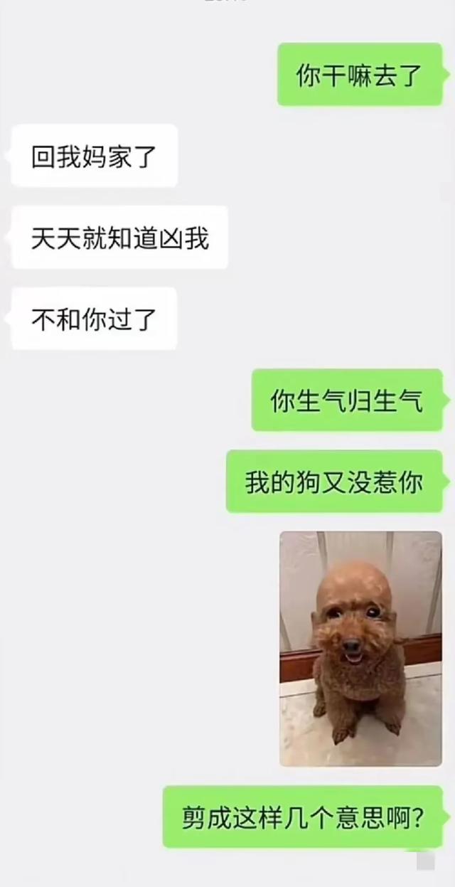 刚刚去相亲，他接了个闹钟走了，那些让人捧腹的聊天记录，笑麻了