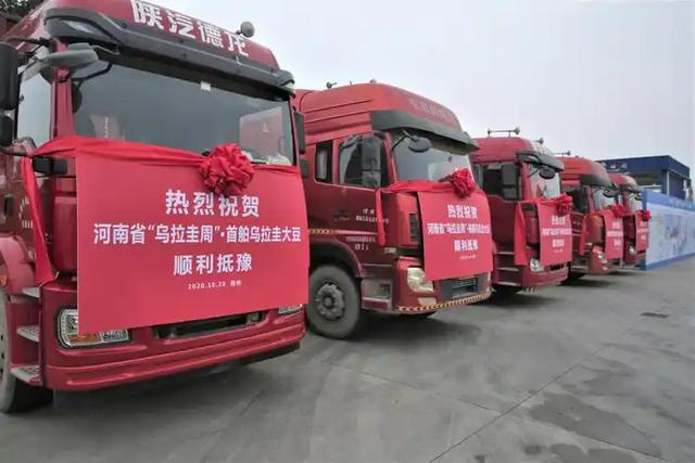 200万吨大豆烂港！巴西赌中国离不开它，却忘了中国早握3张王牌