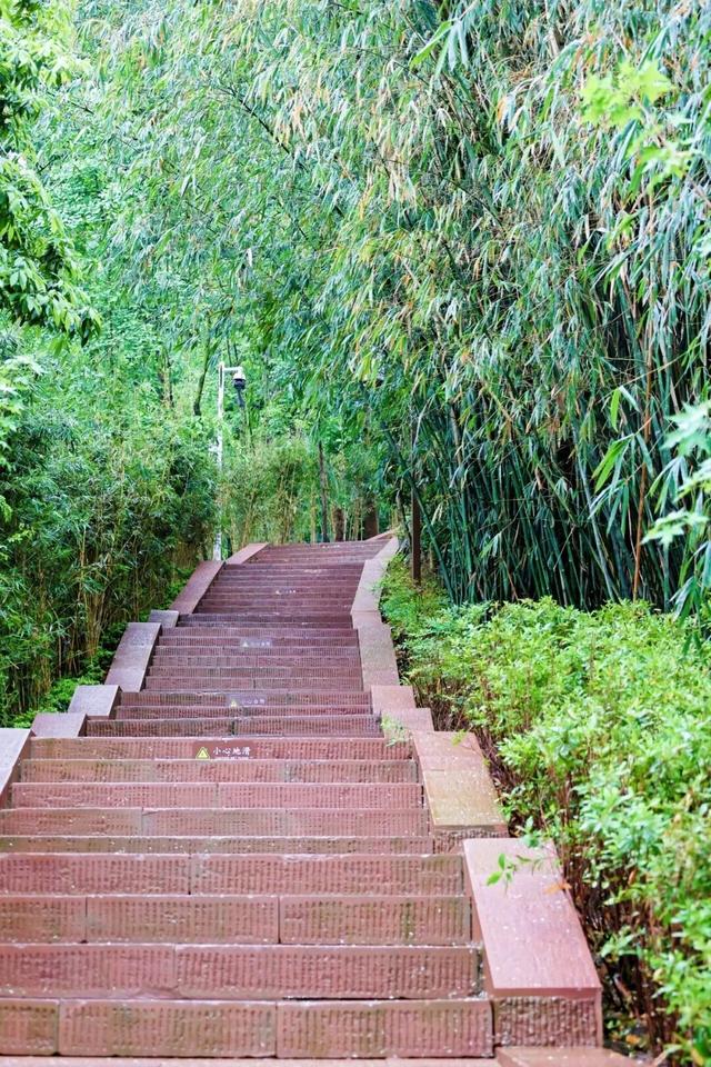 我家门前 “津”喜多 | 这些故事里，有着新津人的温暖回忆