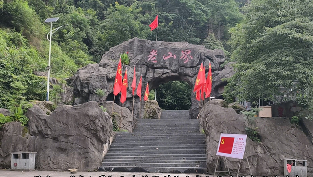 舜帝三临的"南方植物王国"：藏着长征记忆与千年茶香的"大山里"