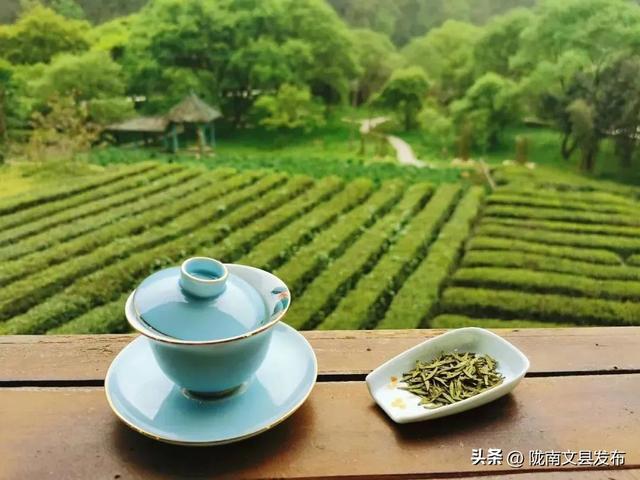 天池映月，白马欢歌，就差一个你！