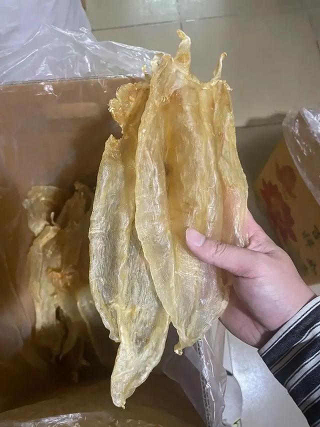 拆线后多久可以吃花胶 2026年拆线多久可以吃鱼肉吗