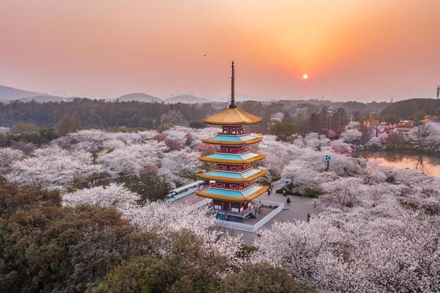 湖北国家5A级旅游景区16家，我都去了，风景一个比一个美