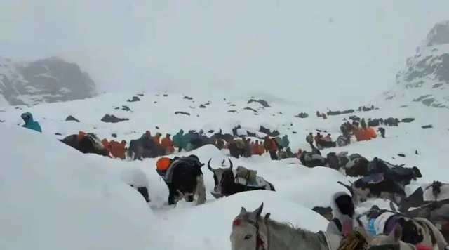 珠峰暴雪围困！向导血肉之躯开生路，百人奇迹生还，拒收天价酬金