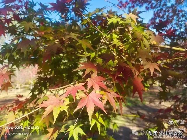 青岛即墨马山寻趣:一座地质公园的秋日私语|申艳娟