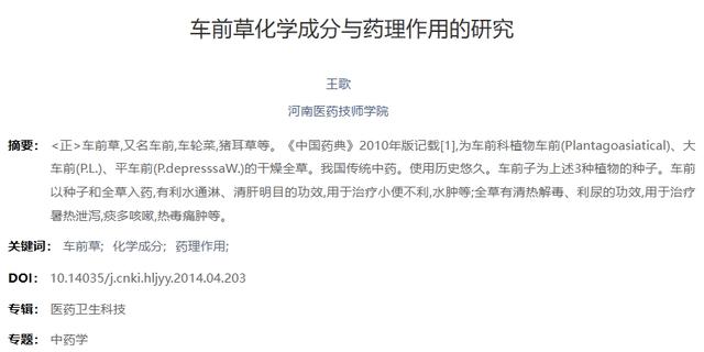 车前草立大功，发现：常用车前草煮水喝的人，不久或将收获4好处
