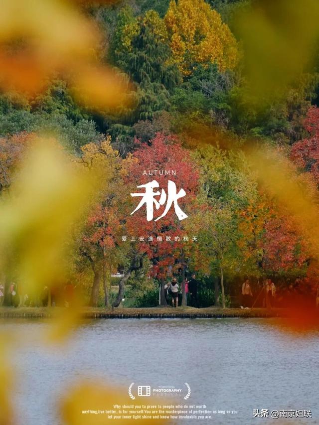 给个准信！盼了又盼的秋日“顶流”全部上线