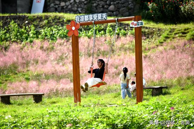 六盘水明湖花海盛开引游客赴一场秋日游约会