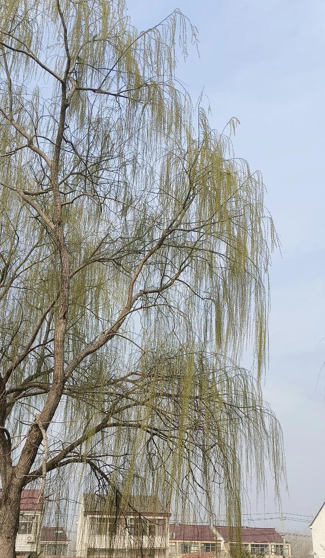 乡村采风：邂逅田园的诗意