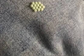 福建人注意！已大量出现！千万别碰！图片