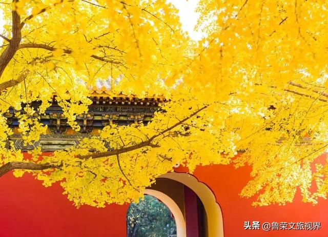 博物馆里的时光回响：藏在文物中的中国千年故事