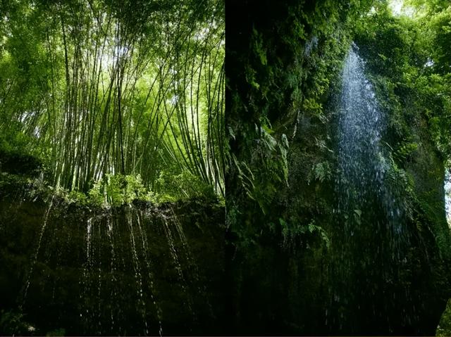 在竹尖上飞行！全网最全尖叫玩法攻略！