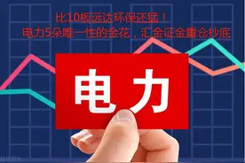 比10板远达环保还猛！电力5朵唯一性的金花，汇金证金重仓抄底图片