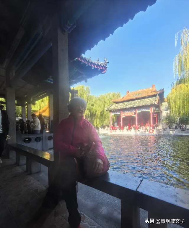 趵突菊韵 锦绣泉城