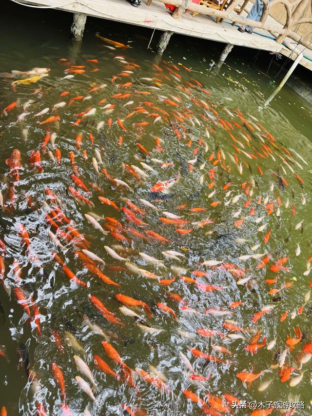 西行，吐鲁番葡萄沟注意事项踩坑省钱旅游攻略
