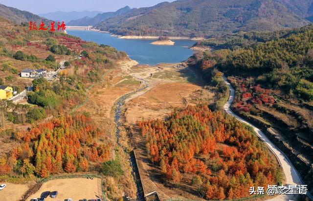 古村、古道、古树群、红杉林，网红村庄比城市还热闹