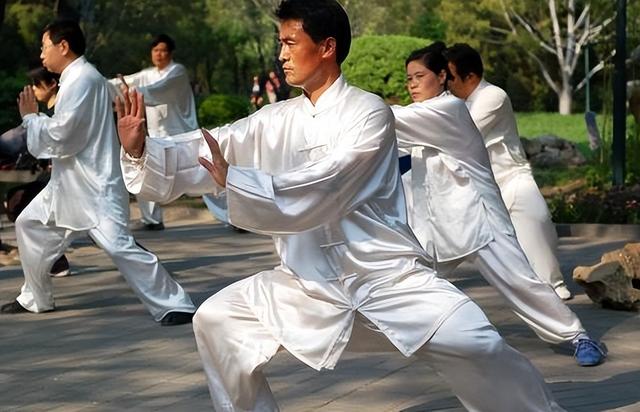 杨式太极高探马站不稳还手软？3个细节揪准了狠改 第3张