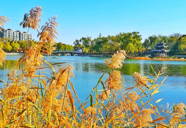 狂风散尽现碧空 北京市民陶然亭公园共赴“大风蓝”之约