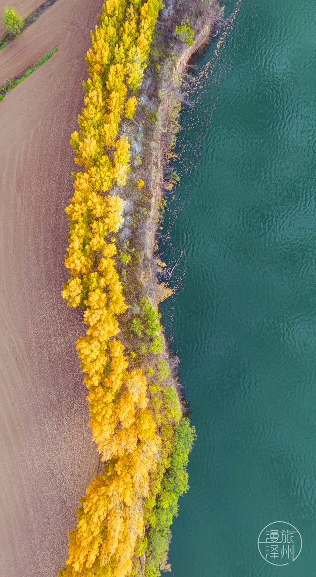 在十一月的任庄水库，收藏一季斑斓