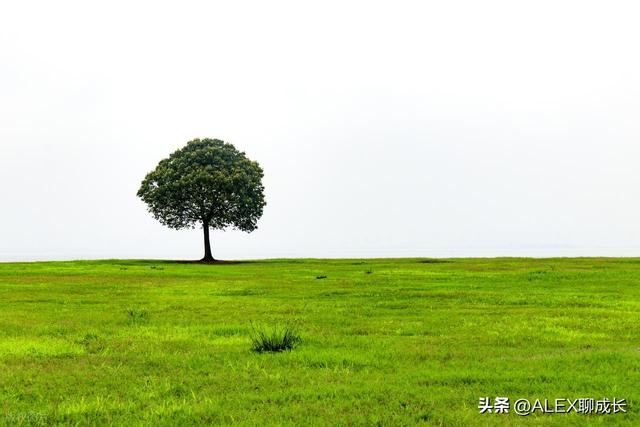 “00后”成了最苦一代，以下3个征兆，每个家庭都要警惕