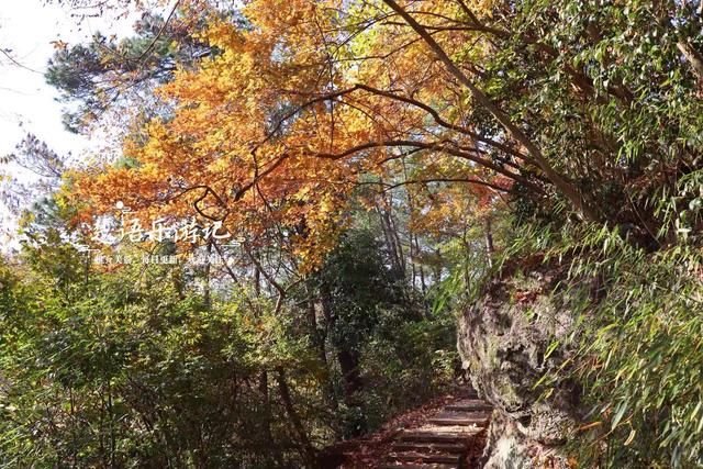 雪窦山深处的古村，周边的红枫胜境太美了，弥勒大佛观景地是亮点