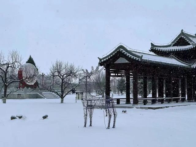收好这份石家庄“雪景打卡地图”！走起→