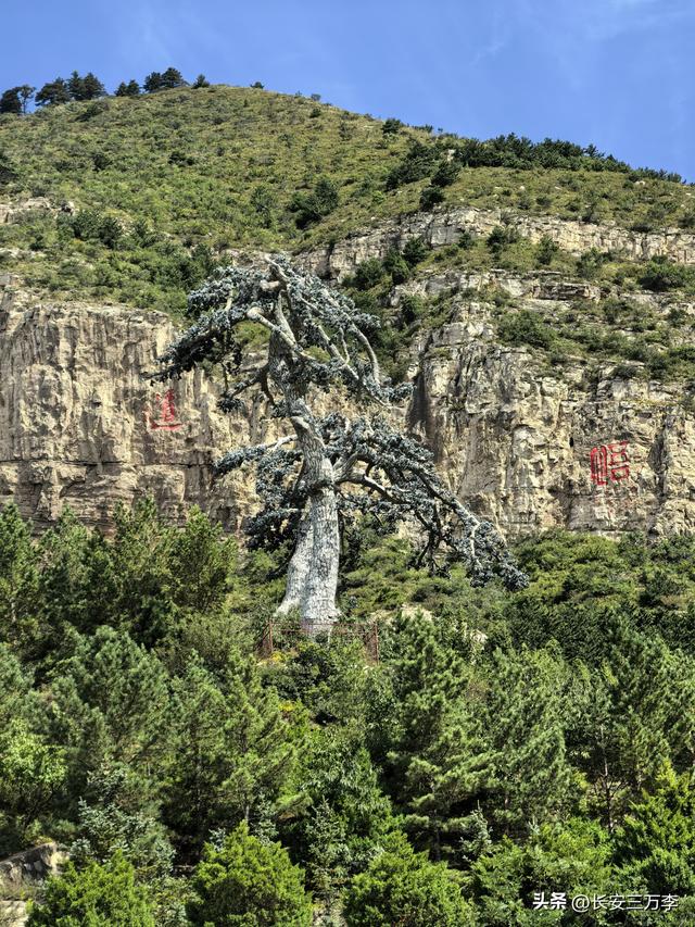 北上大草原第12站：登恒山易，探悬空寺难