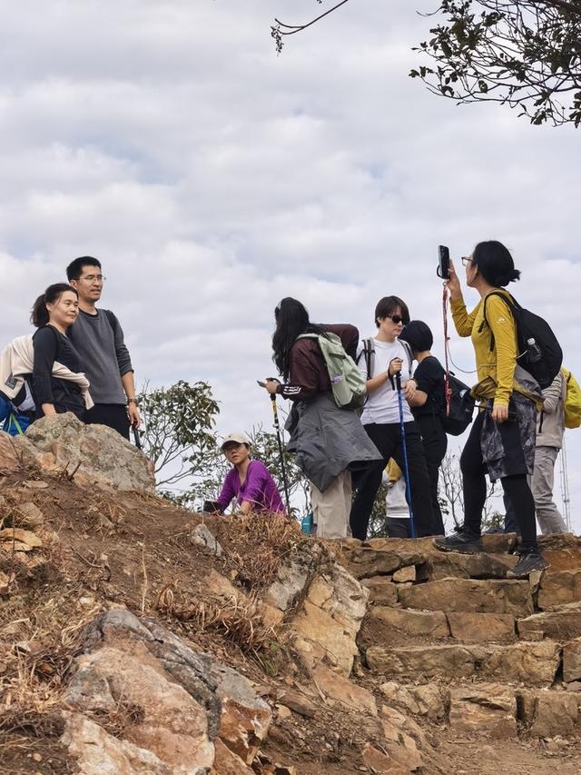 周末去哪玩？杭州建德推出“年猪宴年俗＋双孢菇采摘＋楠木林徒步”特色旅游路线