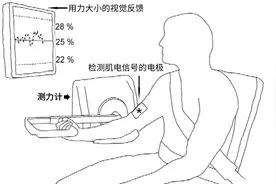 平板支撑抖成筛子？不是因为肌肉没力气了图片