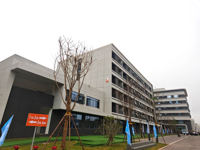 黄金通道 山水交响 | 潮涌磨憨 风光无限