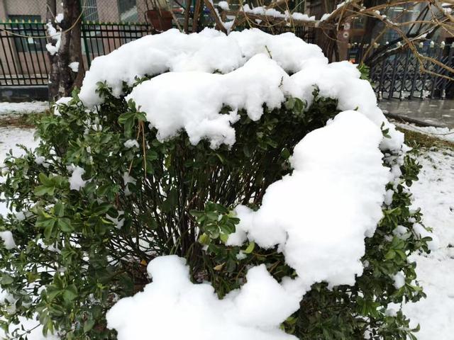 石家庄，三月大雪纷飞