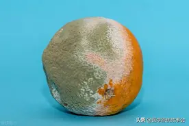 消化科医生：马上停止吃这种水果，吃得越多，癌细胞越兴奋图片