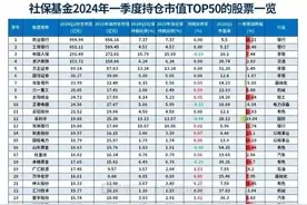 跟着国家队投资不怕暴雷！社保基金最新持股市值前50名单曝光！图片