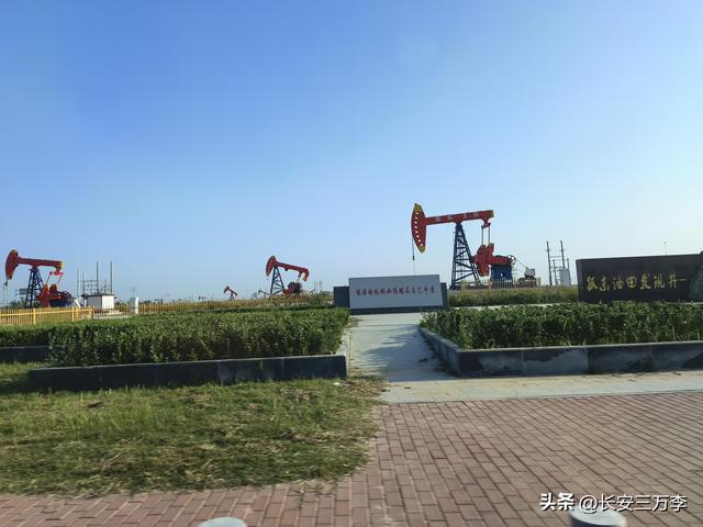北上大草原第3站：日照凌晨观火箭，东营午后探黄河