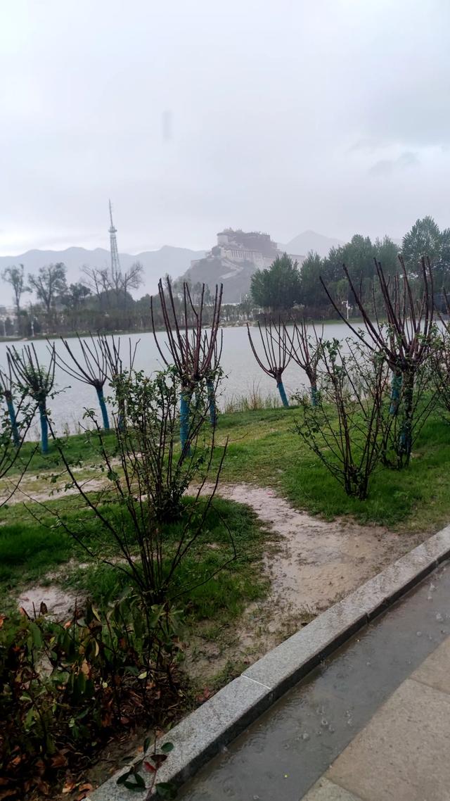 拉萨药王山北面团结公园，今年新竣工开放，雨中漫步眺望布达拉宫