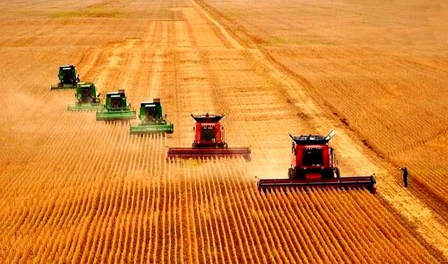 中方刚复购大豆。美国又变脸，美贸易代表通告全球，继续调查中国