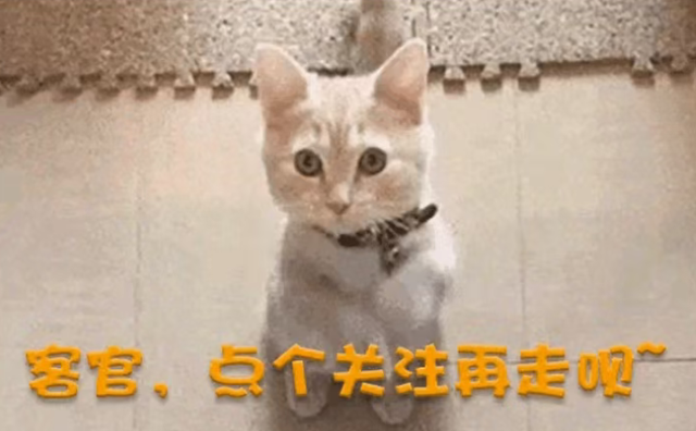 后续！山西狗咬人防卫冲突争议！邻居证实:郭家确证闯入申家