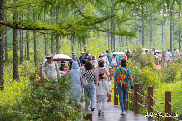 22℃盛夏暴击！阿尔山把整个夏天的清凉都藏进火山与林海的秘境里