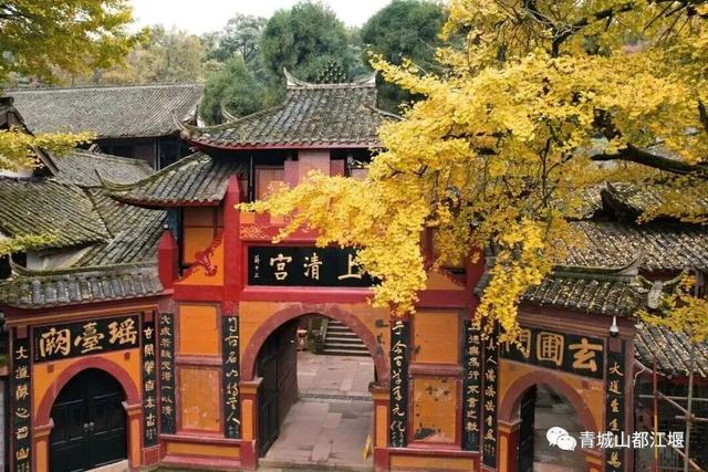 美疯！我就说初冬的都江堰有真东西！